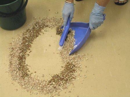 Neutralize a spill with sand and kitty litter. Photo courtesy of www.rtg.wa.edu.au.