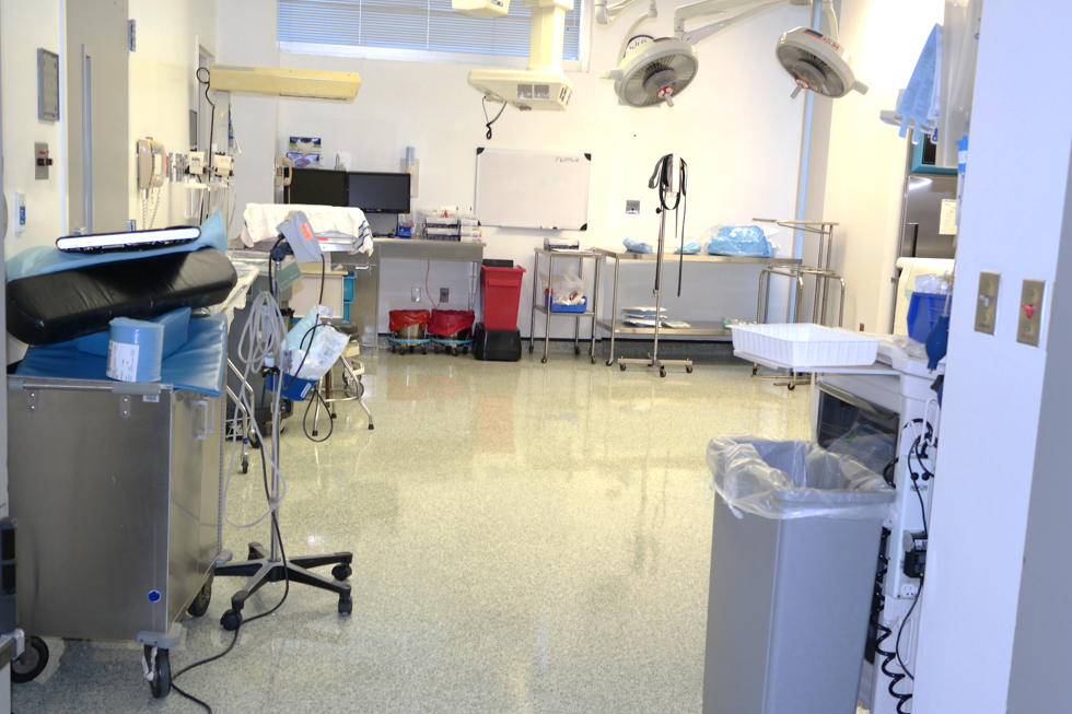healthcare floor